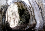 Widok z wnętrza jaskini
