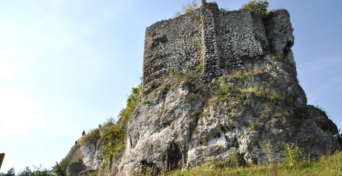 Przewodziszowice - średniowieczna strażnica królewska, ruiny