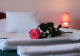 Hotel Pod Kamykiem - pokój dwuosobowy z łóżkiem małżeńskim i widokiem na ogród