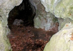 Jaskinia Ostrężnik